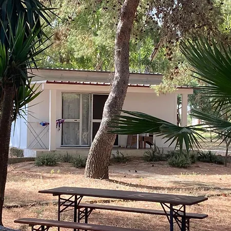 Residence Sa Pintadera-2